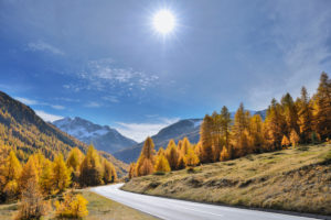 Mountain road with larch trees and sun in autumn, Livigno, Sondrio, Lombardei, Italy Mountain road with larch trees and sun in autumn, Livigno, Sondrio, Lombardei, Italy